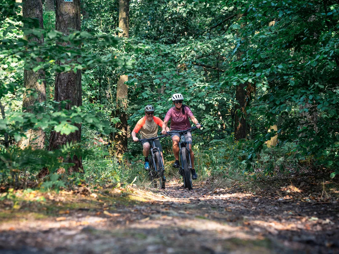 Unterwegs im Wald rund um Bad Tabarz