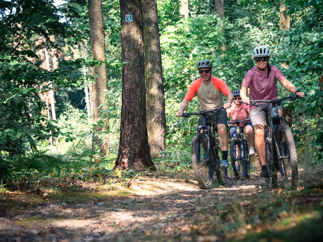 Radfahrer im Wald bei Bad Tabarz