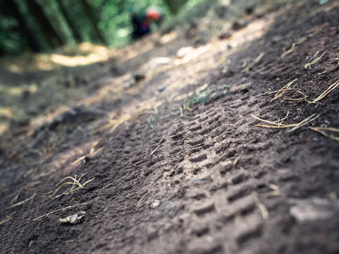 Reifenspur auf einem Trail im Thüringer Wald
