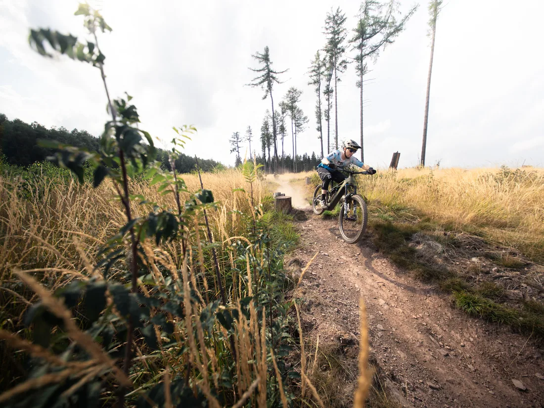 Mountainbiker auf einem Wiesentrail im Thüringer Wald