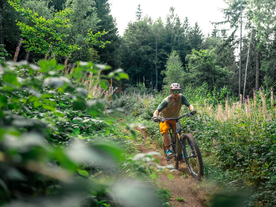 Singletrail im sommerlichen Thüringer Wald