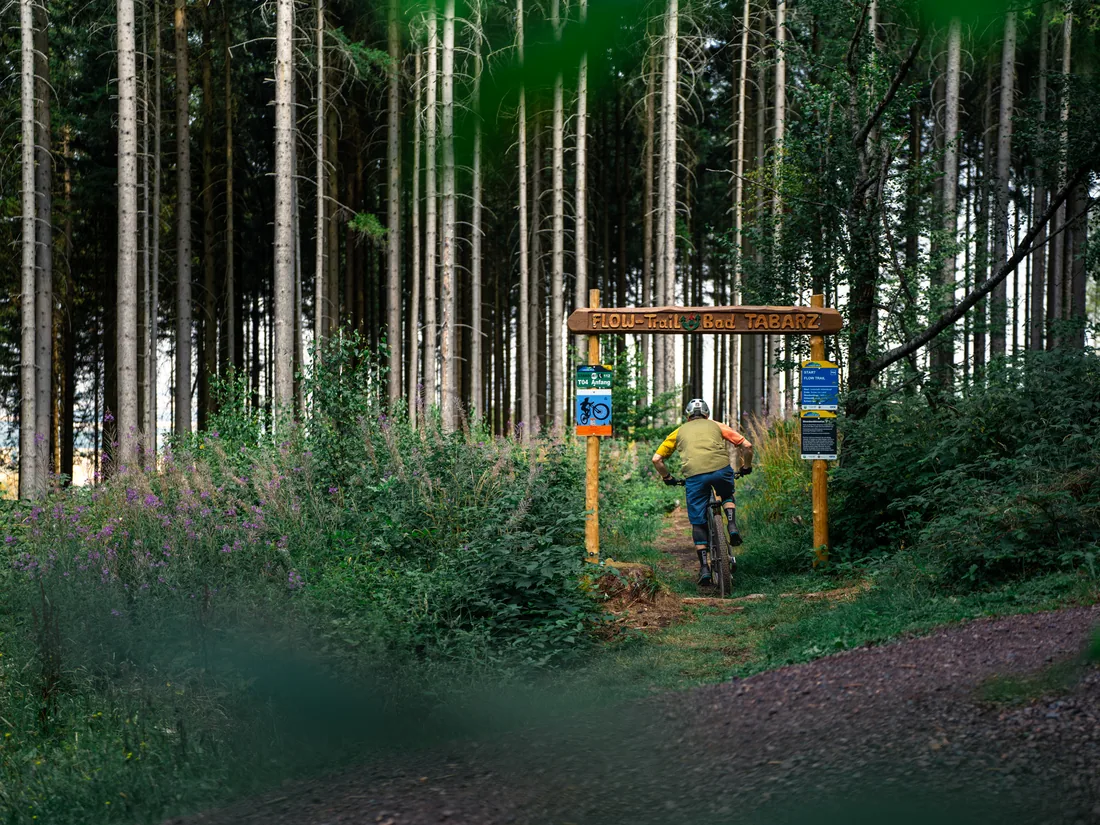 Trail-Einfahrt im Wald am Inselsberg