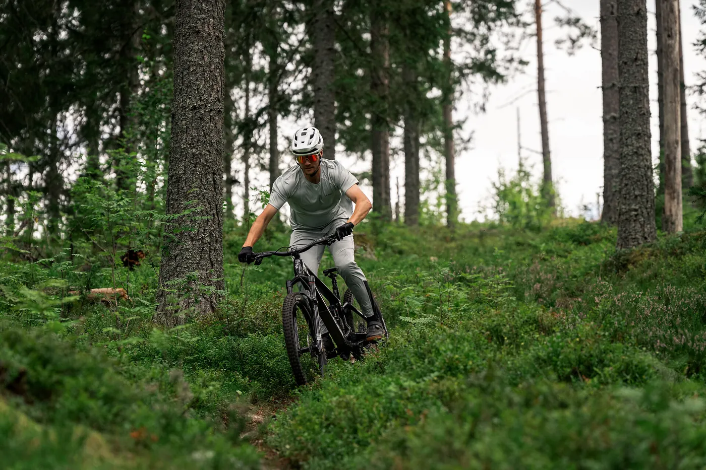 CUBE Stereo ONE55 bei Fahrrad Schmidt in Bad Tabarz